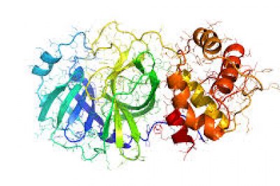 What you need to know about Coronavirus.